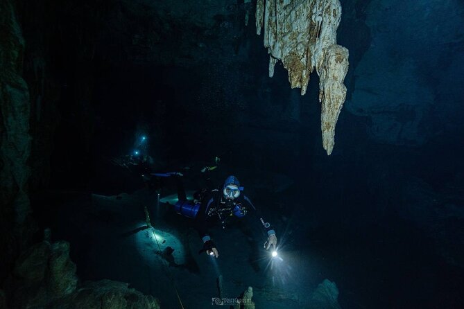 Diving in Cenotes: discovering the Mayan Underworld - Price and value at about $239 per person