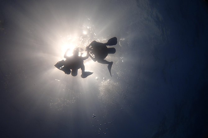 Diving in the Mexican Caribbean for Beginners | 2 Tanks 2 Dives | All Inclusive - Underwater Museum Time at MUSA, 400 Sculptures at 10 m (33 ft)