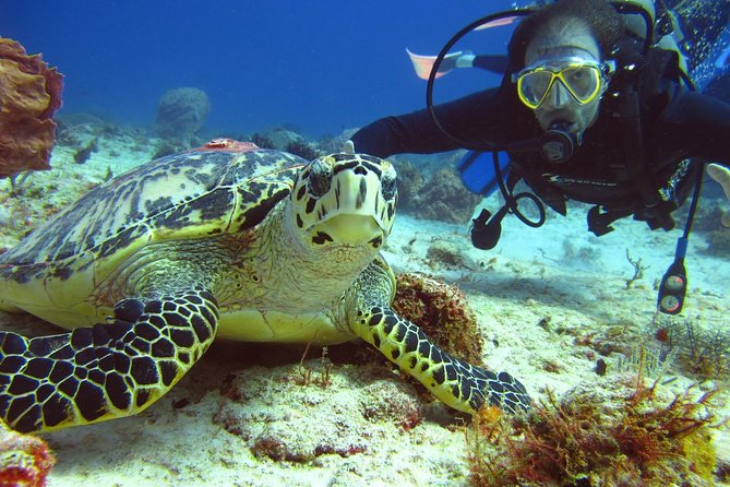 Diving + Muse - Meeting point at SCUBA CANCUN: plan to arrive early
