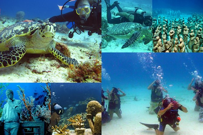 Diving + Muse - Isla Mujeres reef time: flora and fauna, plus a free ticket