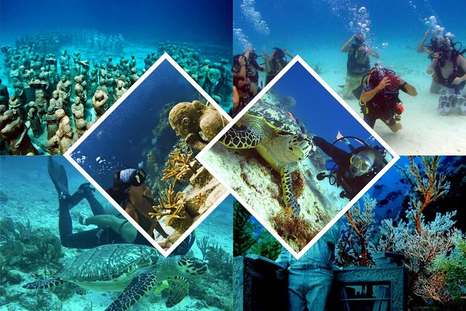 Diving + Muse - The one booking risk: confirm the exact underwater target