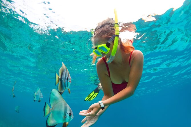 Drive an Speedboat + Mayan Ritual + Food Tasting and More! - Snorkeling the reef: included gear and how to get better photos