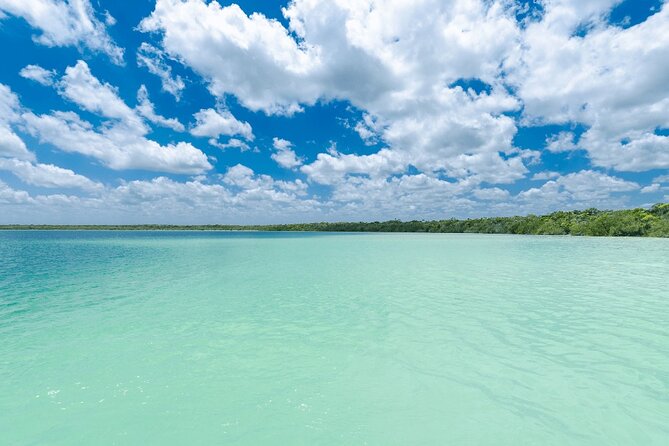 Eco Adventure At 3 Cenotes & 1 Lagoon ! From Cancun & Riviera - Multum Ha Cenote: underground swimming and small marine life