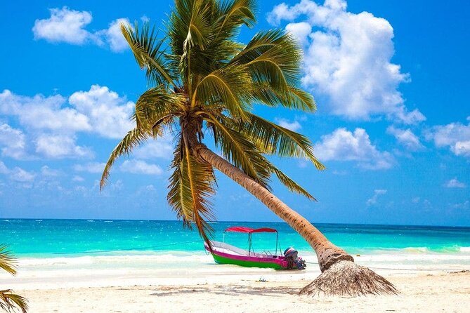 Eco Adventure At 3 Cenotes & 1 Lagoon ! From Cancun & Riviera - Food and drinks: box lunch plus one restaurant dish