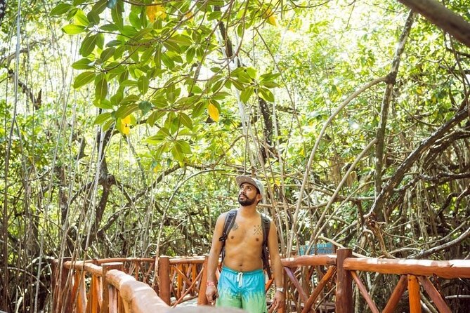 Eco Park Casa Tortuga Cenotes and Tulum Ruins! Riviera Maya Round Transportation - Casa Tortuga Cenotes: Four Natural Pools, Including Underground Ones