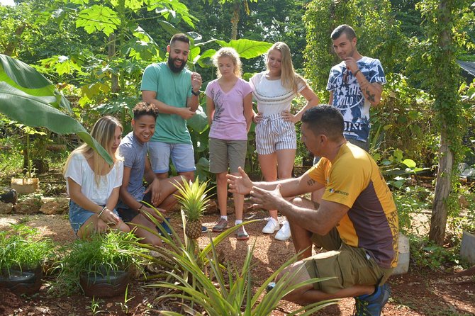 Ek Balam Tour from Cancun Including Cenote Maya Park - Walking Ek Balam’s Acropolis Like You Mean It