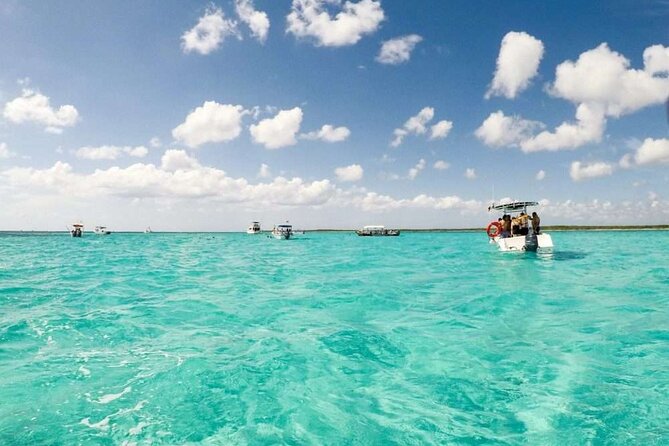 El cielo Cozumel From Cancún and round Transfer with Lunch - Reef boat tour stops: El Cielo, Colombia Reef, and Palancar
