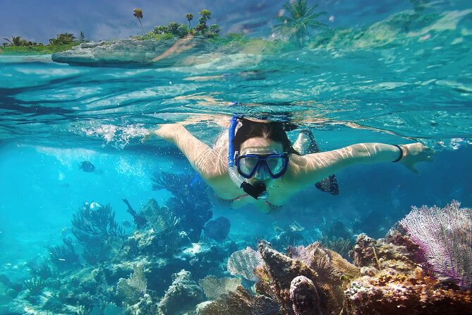 El cielo Cozumel From Cancún and round Transfer with Lunch - Snorkeling on Cozumel: How to get more out of El Cielo