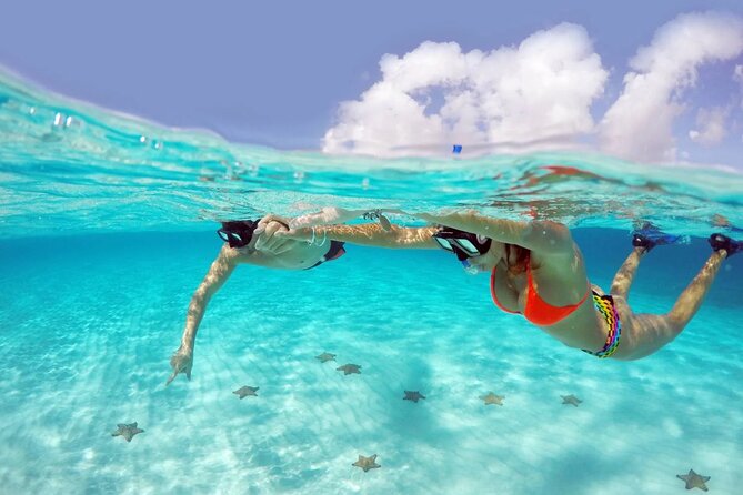 El cielo Cozumel From Cancún and round Transfer with Lunch - Lunch and Toros meal: Food timing, drinks, and what to expect