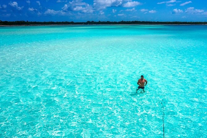 El cielo Cozumel From Cancún and round Transfer with Lunch - Cozumel free time: Using your 2 hours wisely
