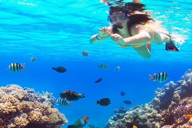 El cielo Cozumel From Cancún and round Transfer with Lunch - Price and logistics: What $77 covers, and what to budget for