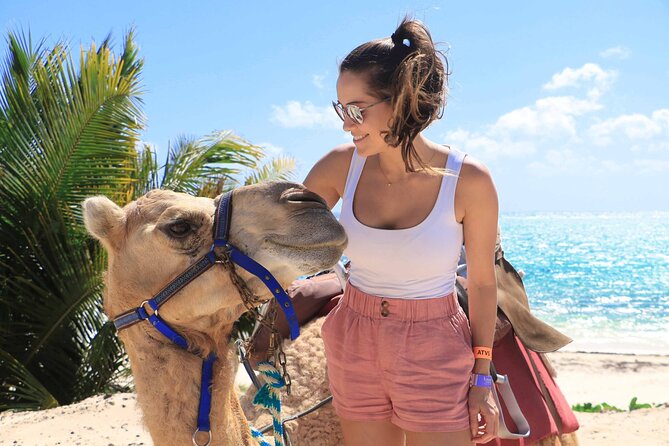 ENJOY UNIQUE CAMEL RIDE in Puerto Morelos with Transportation - Puerto Morelos Camel Ride, the Real Promise
