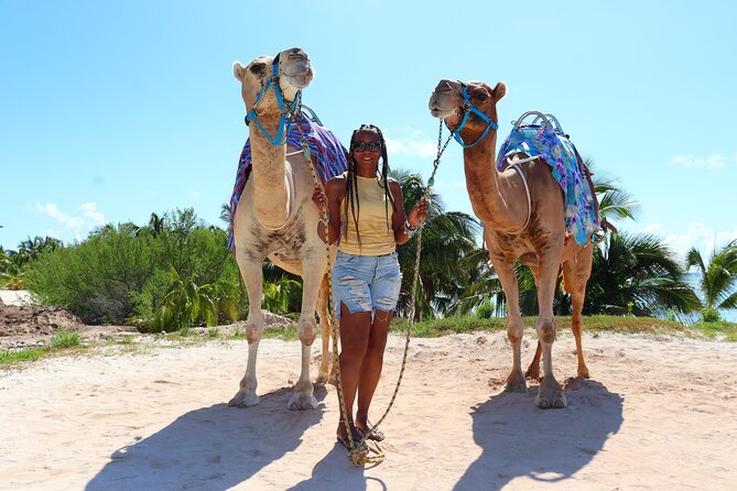 ENJOY UNIQUE CAMEL RIDE in Puerto Morelos with Transportation - Phones, Photos, and the Pricing That Can Upset People