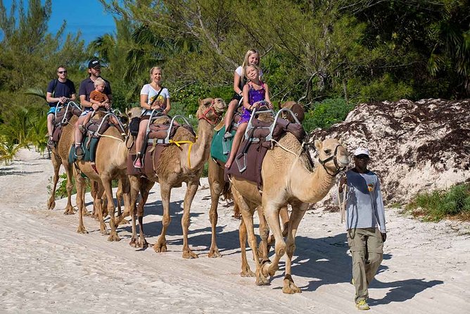 ENJOY UNIQUE CAMEL RIDE in Puerto Morelos with Transportation - Who This Tour Fits Best