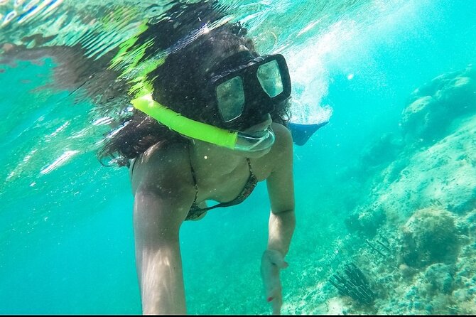 Exciting Speedboat & Snorkeling Tour in Cancun Lagoon! - Should you book this Cancun speedboat and snorkeling tour?