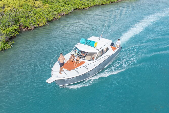 Exclusive Isla Mujeres and Cancun Private Yacht Tour - Snorkeling on the south side: what to look for