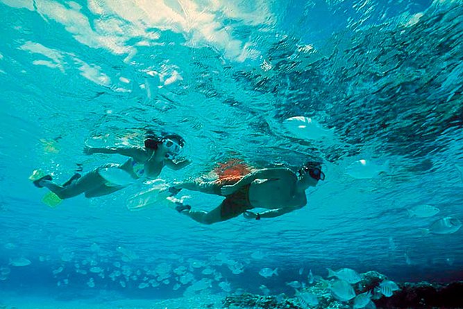 Exclusive Isla Mujeres Tour in Catamaran! Sailing from Cancun - The Catamaran Ride: Time on the Water, Not Just a Means to an End