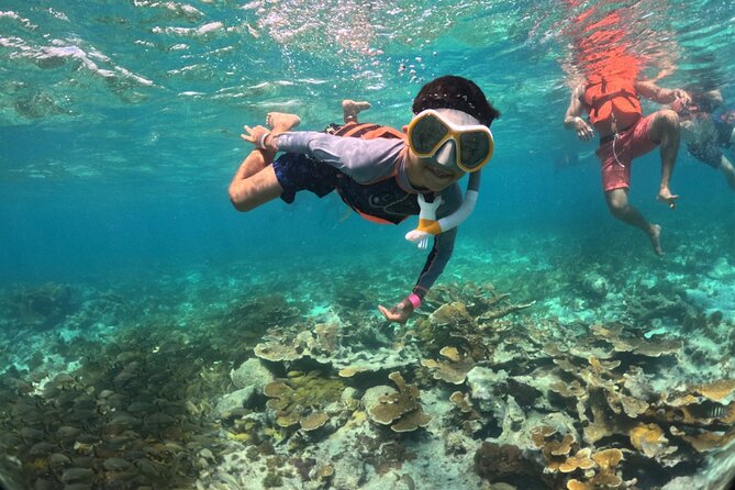 Exclusive Isla Mujeres Tour in Catamaran! Sailing from Cancun - Isla Mujeres Beach Club Time: Pool, Shade, and Buffet Lunch
