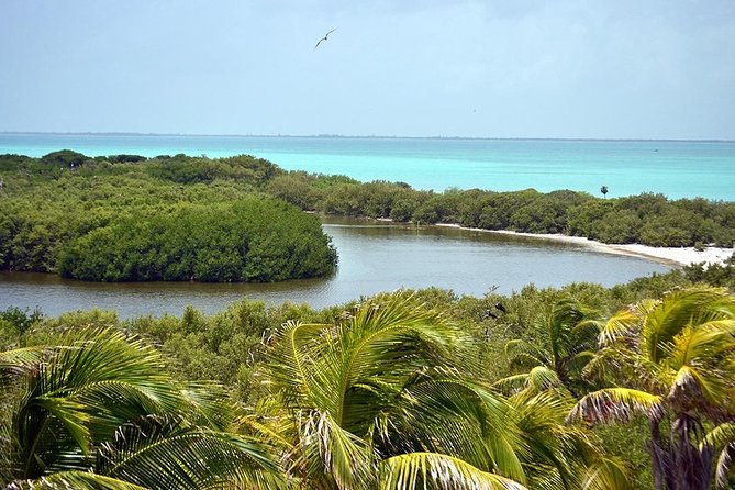 Excursion Isla Contoy & Isla Mujeres from Cancun - Food and drinks: breakfast, buffet lunch, and when hunger hits