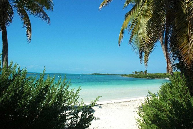 Excursion Isla Contoy & Isla Mujeres from Cancun - Group size, guides, and how the day is run