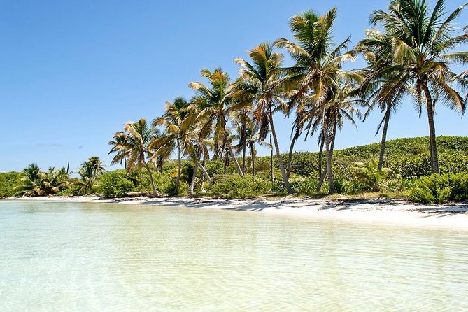 Excursion Isla Contoy & Isla Mujeres from Cancun - Snorkeling at Ixlaché Reef: included, but plan for variable timing