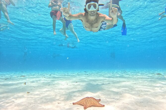 Excursion to Cozumel from Cancun - Key Things I’d Highlight Before You Book