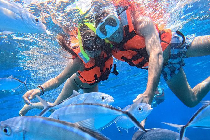 Excursion to Cozumel from Cancun - Return Timing: The One Day-Trip Catch You Should Plan Around