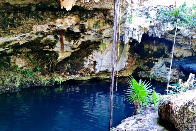 Experience Cancun's Hidden Gems, Mayan museum, cenote & Market 23 - Price and value: where your $213.35 goes