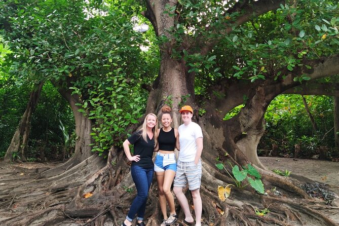Experience Cancun's Hidden Gems, Mayan museum, cenote & Market 23 - Who this tour fits best, and who might want a different plan