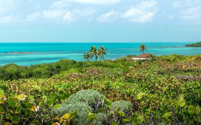 Explore Contoy Island - Key things to know before you go