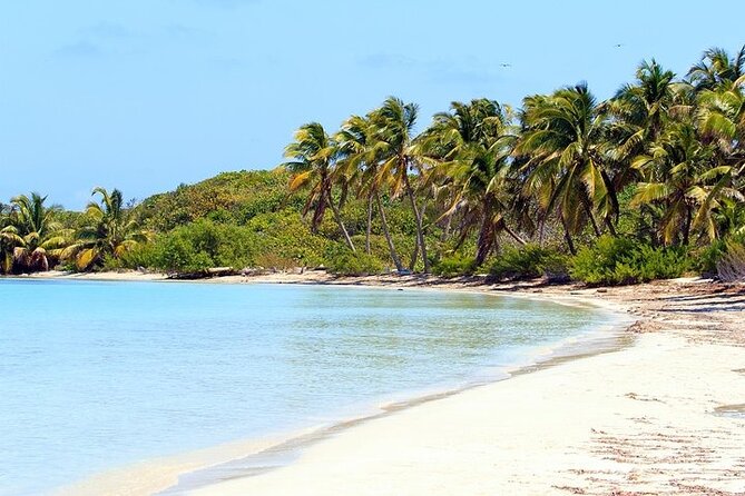 Explore Contoy Island - Cancun boat day: two islands, one schedule that actually works