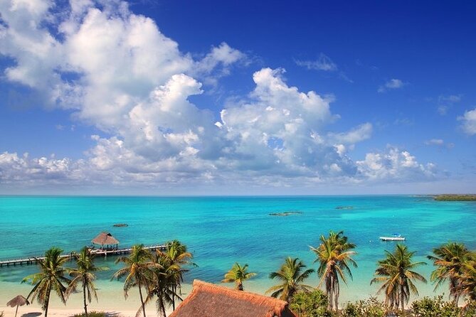 Explore Contoy Island - Price and value: why $169 might be fair, and where it can get extra