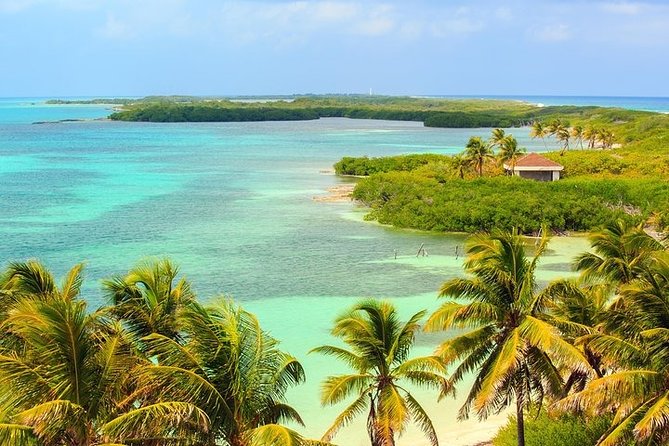 Explore Contoy Island - What to pack for this Contoy and Isla Mujeres day