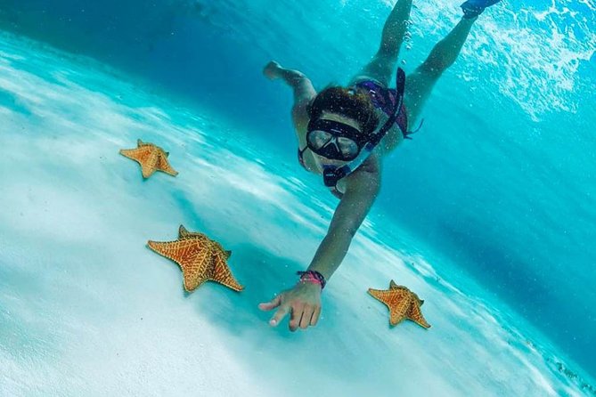 Explore El Cielo in Cozumel. Snorkel in 3 different reefs & visit Cielito Beach. - Door-to-door to Cozumel, starting with the Playa del Carmen ferry