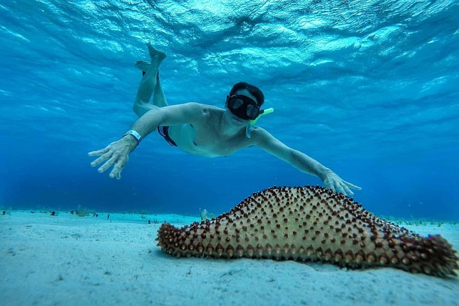 Explore El Cielo in Cozumel. Snorkel in 3 different reefs & visit Cielito Beach. - Cielito Beach: swim, relax, and choose your lunch