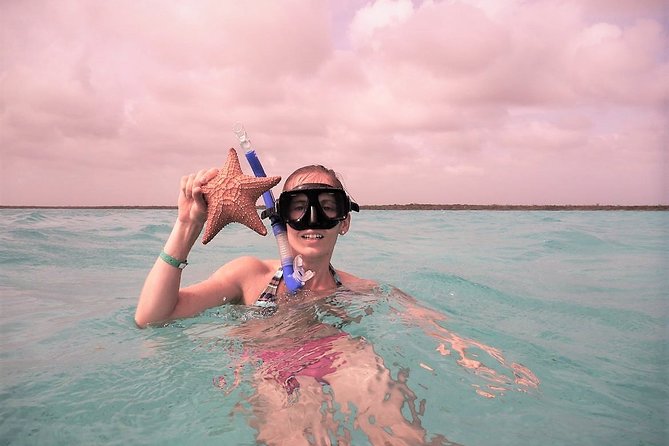 Explore El Cielo in Cozumel. Snorkel in 3 different reefs & visit Cielito Beach. - Palancar and Colombia reef stops, plus conservation substitutions