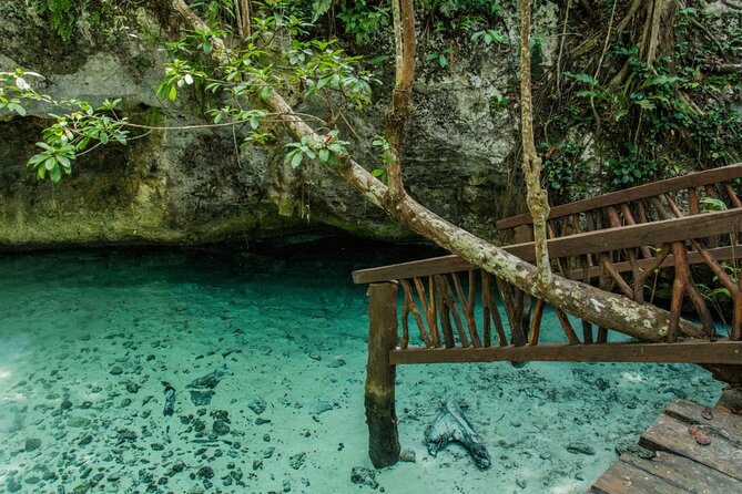 Explore Tulum and Dos Ojos Cenote with lunch and transportation - Dos Ojos swimming, where the day turns from road trip to water time