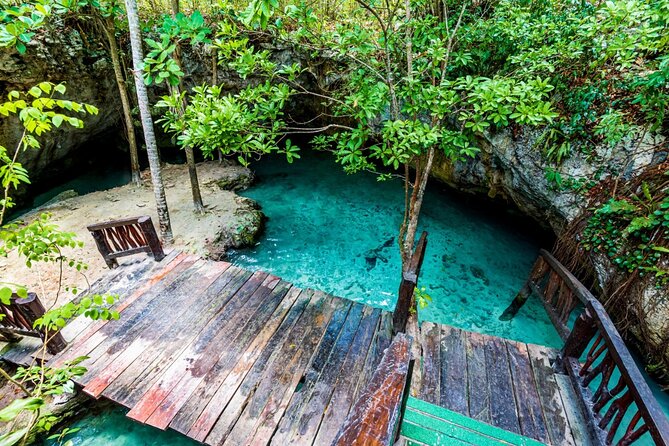 Explore Tulum and Dos Ojos Cenote with lunch and transportation - Grand Cenote, a spiritual-sounding finish that’s still practical