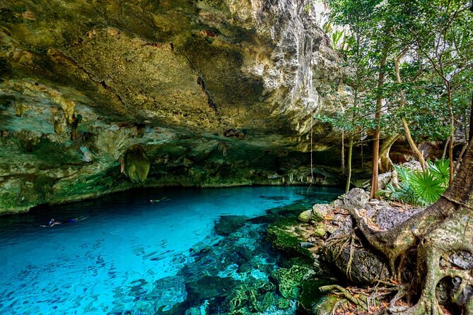 Explore Tulum and Dos Ojos Cenote with lunch and transportation - Price and value at $175, plus the one extra cost to plan for