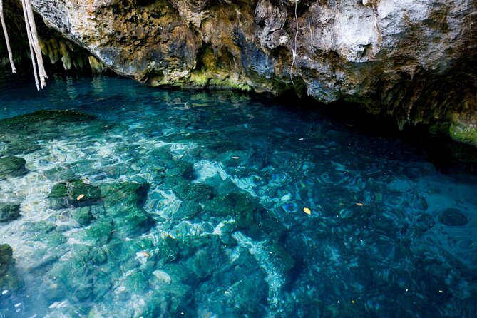 Explore Tulum and Dos Ojos Cenote with lunch and transportation - Tulum Ruins by the ocean, great views with one must-pay ticket