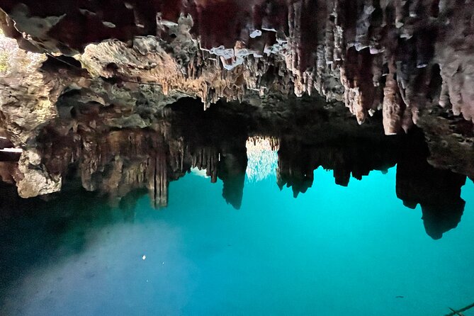 Family ATV Cenote Five Zip Lines Photos Taco Lunch Tequila Taste - Should You Book This ATV, Cenote, and Zip-Line Combo?