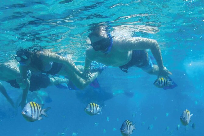 Fast & Fun: Cancun Speedboat Tour with Snorkeling - Group Size and Guide Support: Why You’ll Feel Carried Through the Day