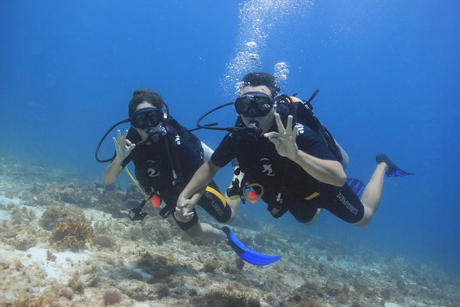 For certified Divers Experience the Under Water Museum and the Manchones Reef - Second stop, Manchones Reef: marine life time in a guided setting