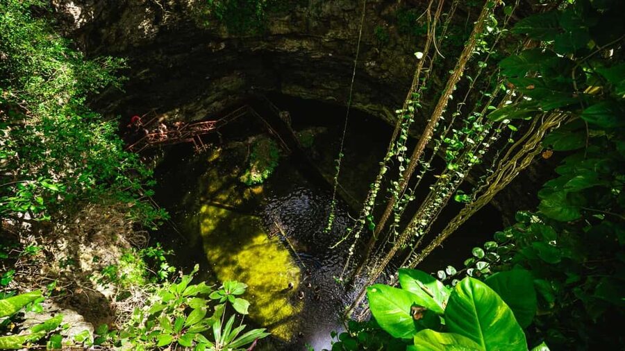 From Cancun: Ek Balam and Cenote Tour with Lunch & Transfer - Transportation comfort and the multiple transfer reality