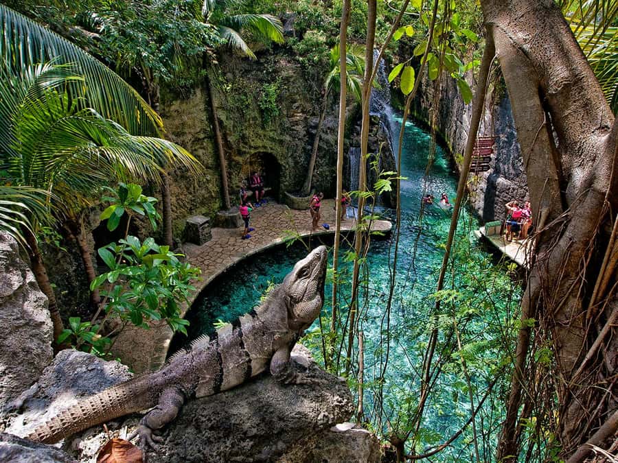 From Cancun: Full Combo to Xcaret Park! - What the Xcaret Park pass really gives you