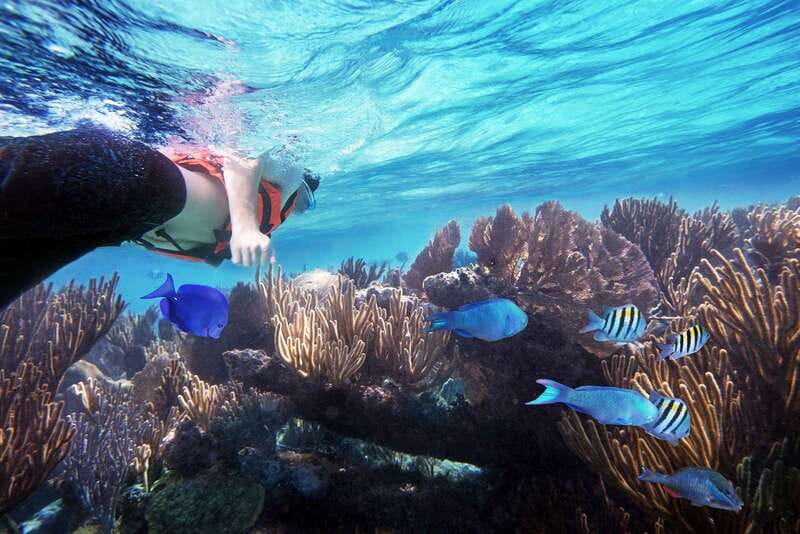 From Cancun: Garrafon Reef Park Admission with Ferry Tickets - Snorkeling over the reef: how to make the most of the included time