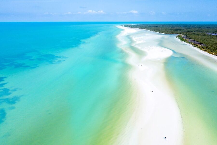 From Cancun or Puerto Morelos: Holbox Boat Tour with Lunch - Key highlights you will feel in real life