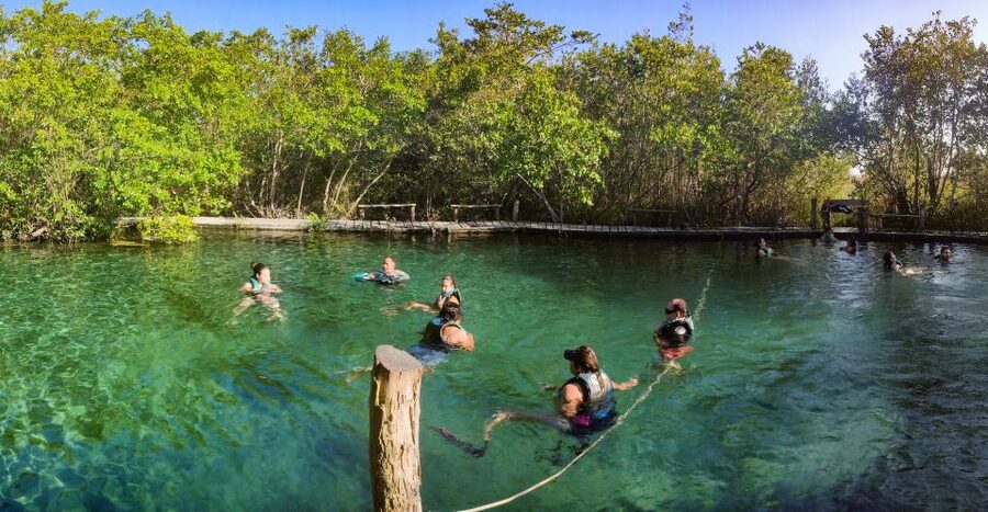 From Cancun or Puerto Morelos: Holbox Boat Tour with Lunch - From Cancun or Puerto Morelos: the day starts with an organized ride