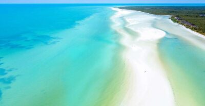 From Cancun or Puerto Morelos: Holbox Boat Tour with Lunch
