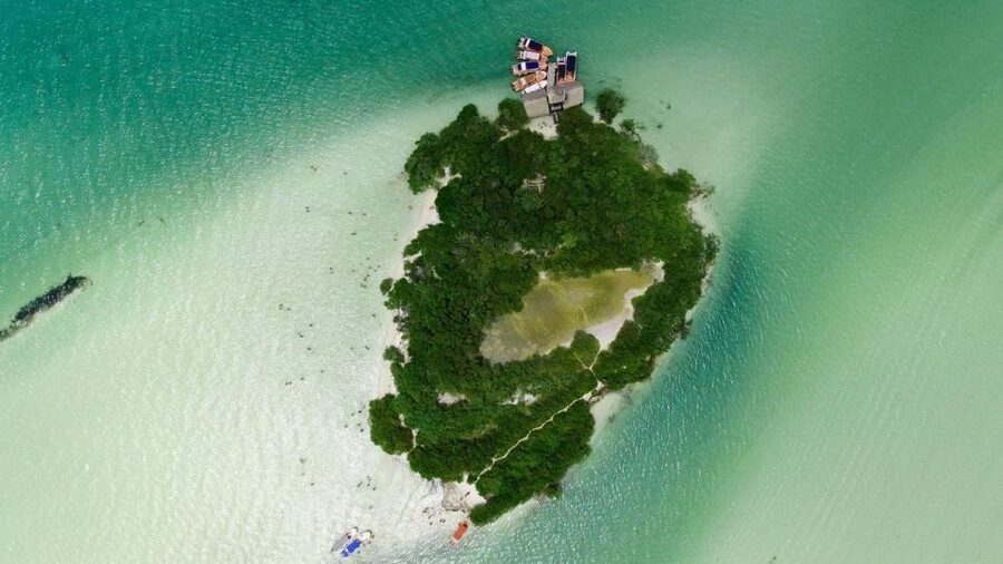 From Cancun or Puerto Morelos: Holbox Boat Tour with Lunch - A final stop at Yalahau Lagoon: that last nature reset